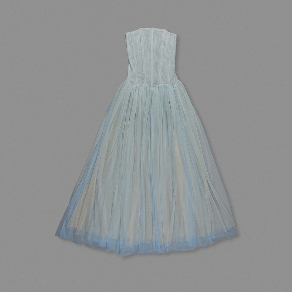 Strapless Mesh Princess Maxi Evening Gown - product view 20